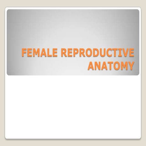 reproductive system(Female)