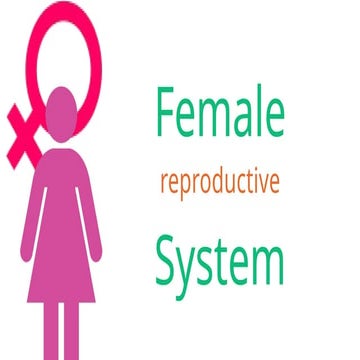 Female Reproductive System of the Human.pptx