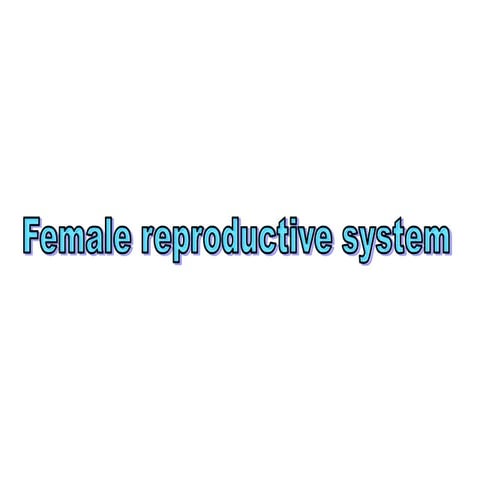 Female reproductive system 