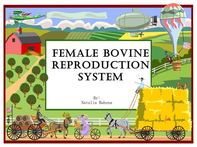 Reproductive system