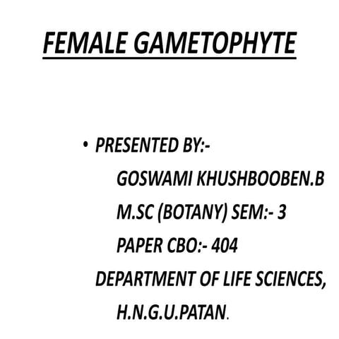 Female gametophyte