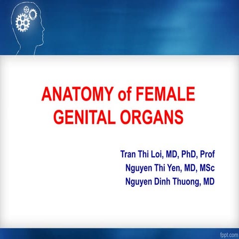Anatomy of Fallopian Tubes Explained.pptx