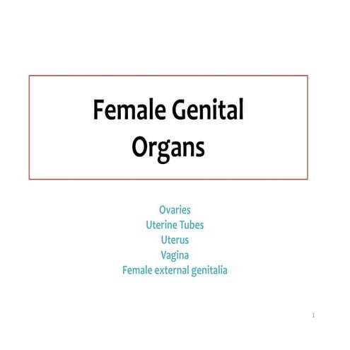 Female Internal Genital organs  2018 (1).pdf