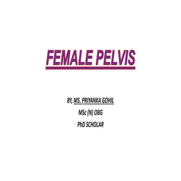Female pelvis