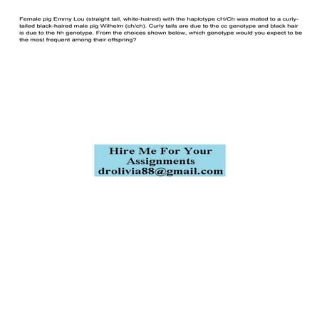 Female pig Emmy Lou straight tail whitehaired with the h.pdf