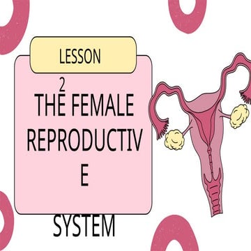 Female Rep.ppt.111111111111111111111pptx