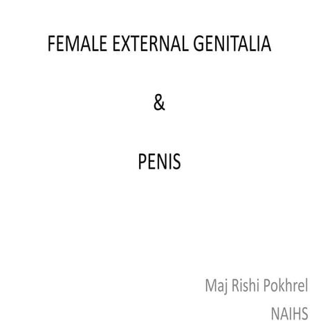 Female external genitalia & penis