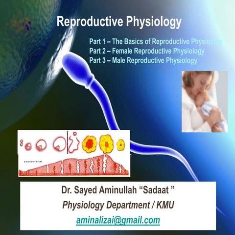 Male Reproductive Physiology Aug. 2017.ppt