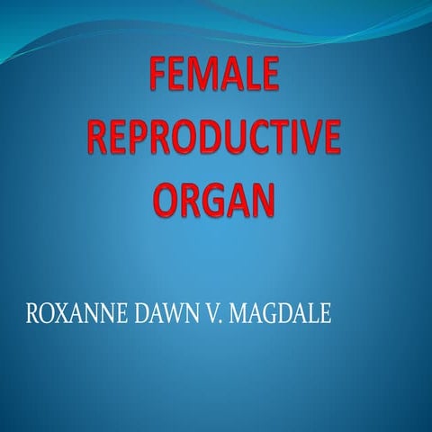 Female reproductive organ