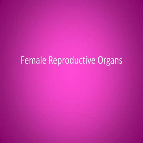 Female reproductive organs