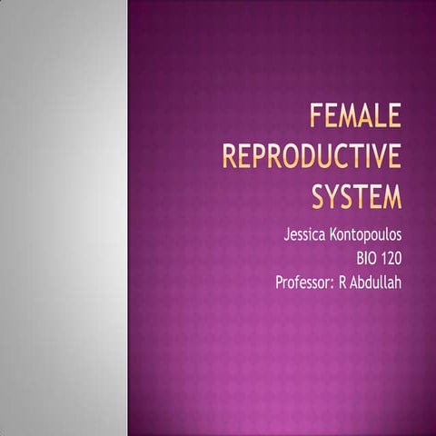 Presentation on female reproductive system | PPTX