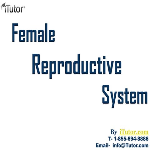 Female Reproductive System