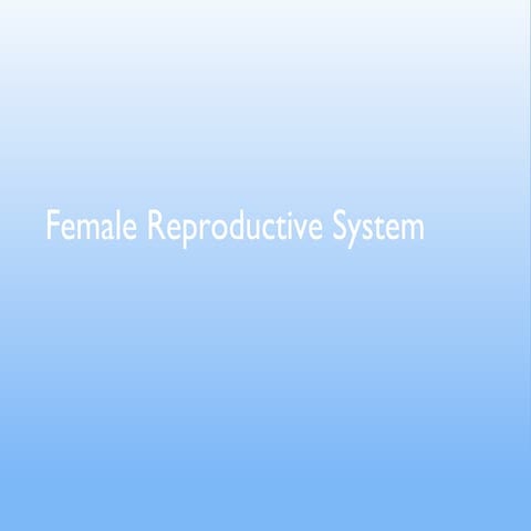Female  reproductive system