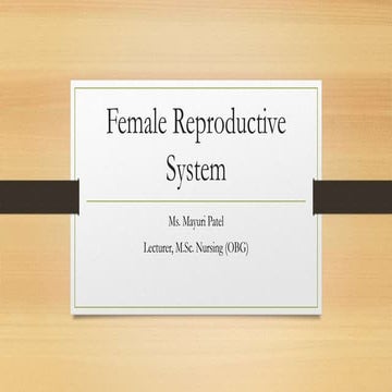 Female reproductive system