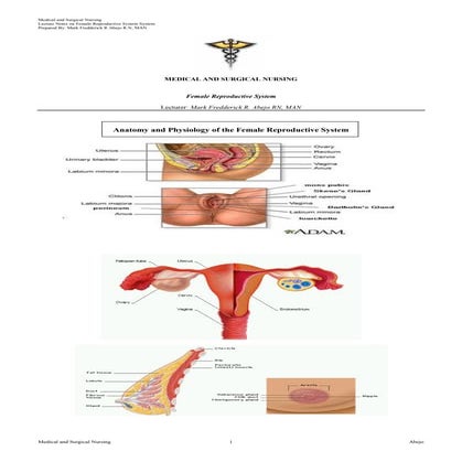 Female Reproductive System