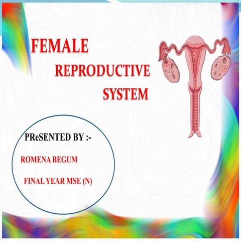 Female  reproductive system