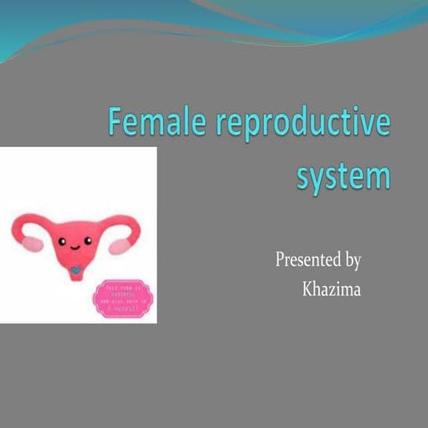 Female reproductive system