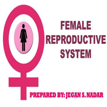 Female Reproductive system