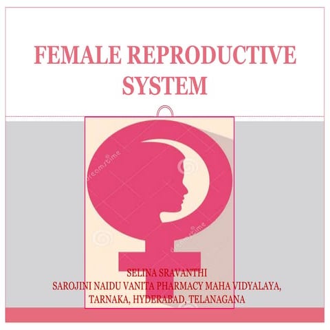 Female reproductive system