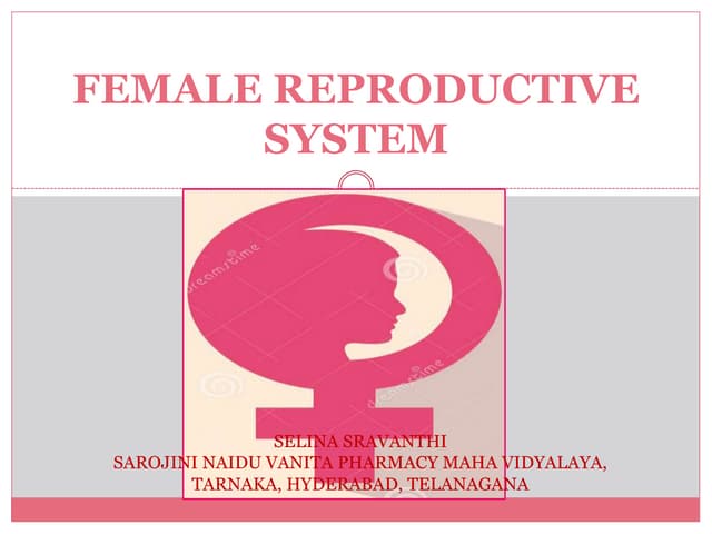 Female reproductive system | PPT | Pregnancy | Reproductive Health