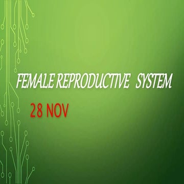 Female reproductive   system