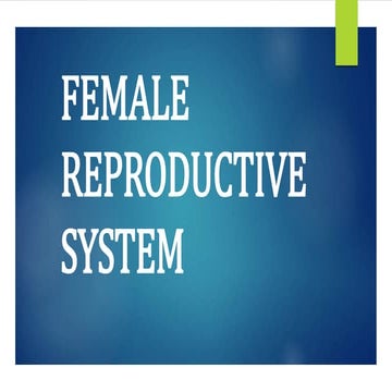 Female reproductive system