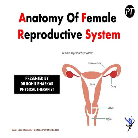Female Reproductive System - Dr Rohit Bhaskar