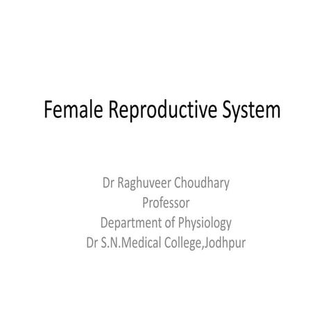 Female reproductive system  Physiology