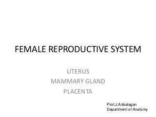 'female reproductive system' on SlideShare