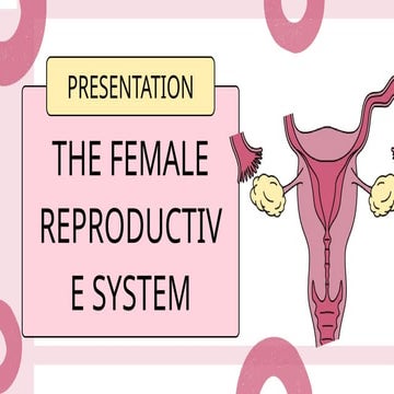 Female Reproductive System Biology Presentation in a Pink Bold Style.pptx