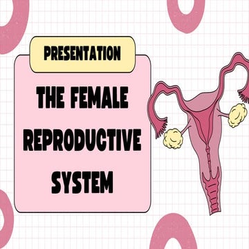 Female Reproductive System Biology Presentation in a Pink Bold Style_20241114...