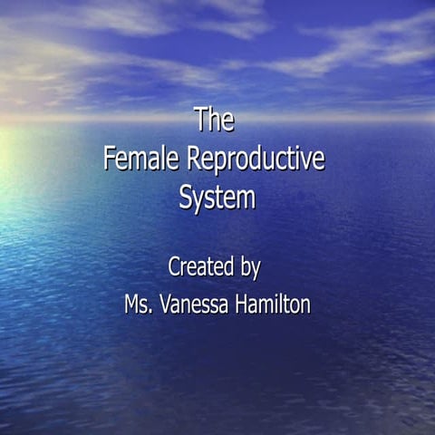 Female reproductive system presentation