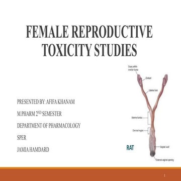 Female reproductive toxicity studies.pptx