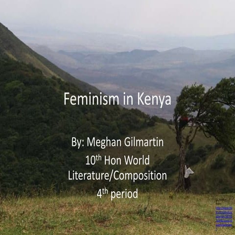 Meghan Issues in Africa Presentation Fall 2010