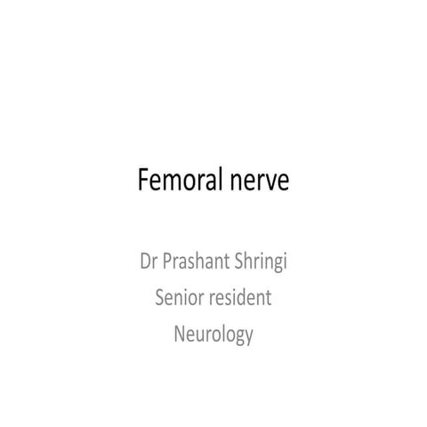 Femoral nerve