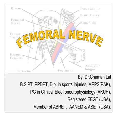 Femoral Nerve By Dr Chaman Lal (CK).ppt