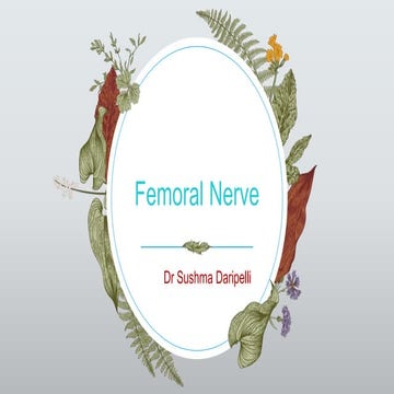 Femoral Nerve gmc.pptx