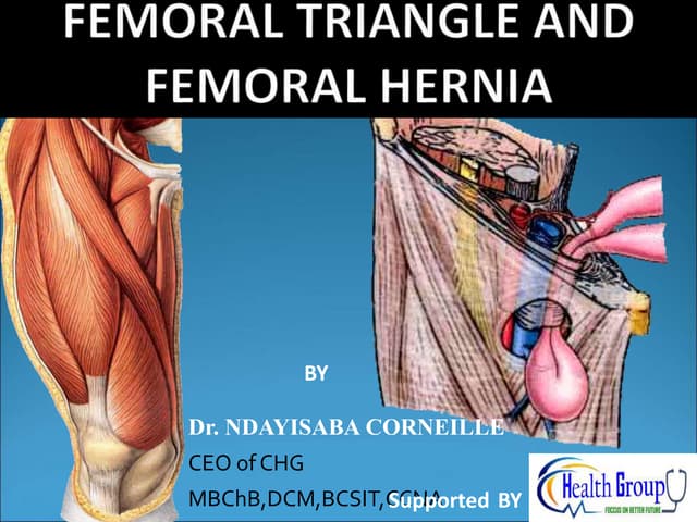 Anatomy of Female internal genitalia.pptx