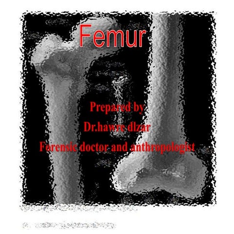 Femur