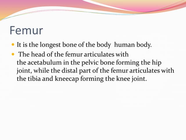 Anatomy and physiology of tibia and fibula tibia | DOC