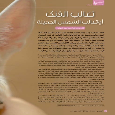 ثعالب الفنك ثعالب الشمس