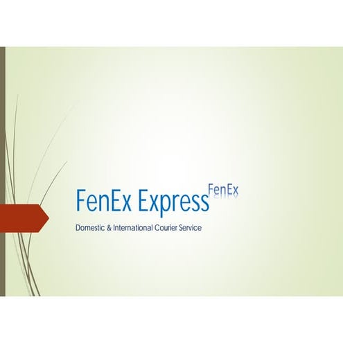 FenEx Express profile(Courier Service-Worldwide)