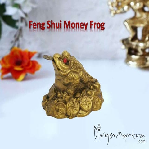 Feng shui money frog