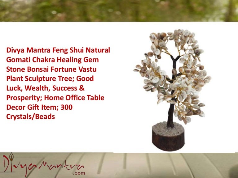 Feng shui natural gomati chakra healing gem stone bonsai fortune vast… Feng shui natural gomati chakra healing gem stone bonsai fortune vast…