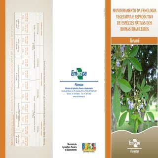 Conheça o Tarumã - folder Embrapa
