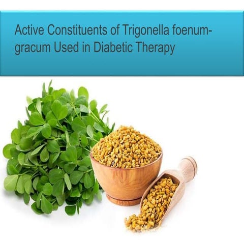 Active constituent of Trigonella foenum gracum as Antidibetic