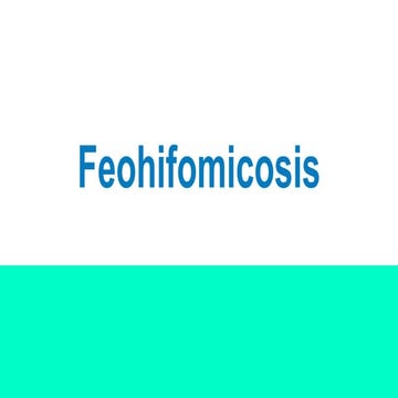 Feohifomicosis