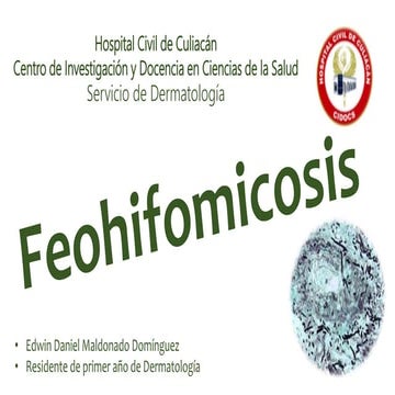 Feohifomicosis