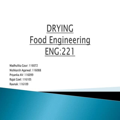 Fe ppt drying