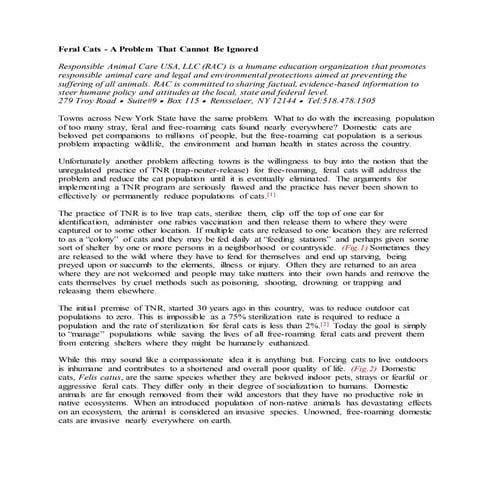 Feral Cats - A Problem that Cannot be Ignored